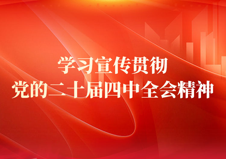 學(xué)習(xí)宣傳貫徹黨的二十屆四中全會精神